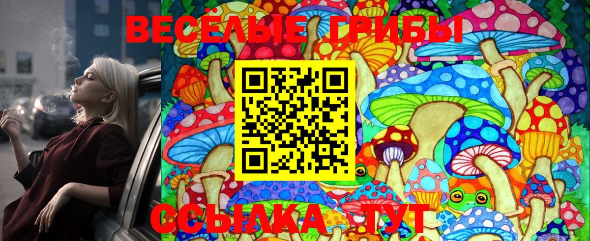 Галлюциногенные грибы Cubensis Аргун