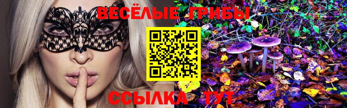 Псилоцибиновые грибы мицелий  Вход с VPN  Аргун  Псилоцибиновые грибы GOLDEN TEACHER 
